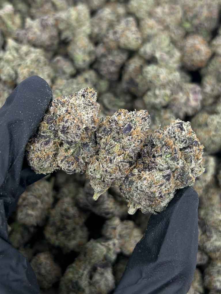 BLUEBERRY BUBBLEGUM by Cookies 🫐🍪