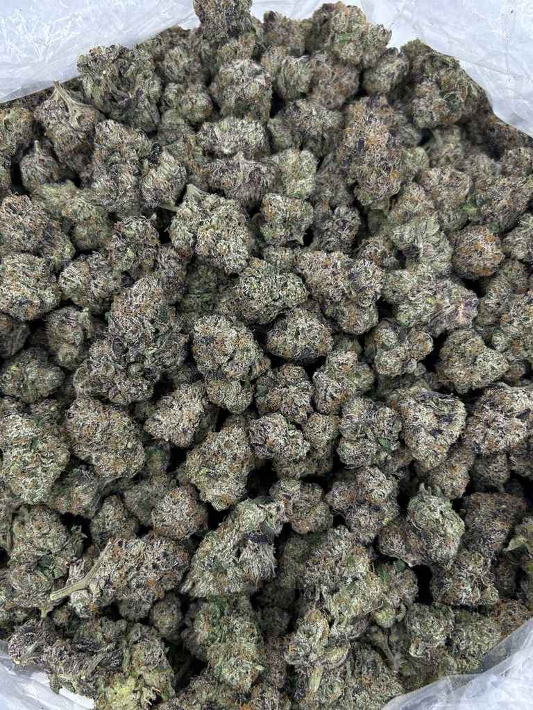 BLUEBERRY BUBBLEGUM by Cookies 🫐🍪 - Image 3