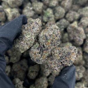 JELLY PAPAYA by Jeeter 🥭🧃