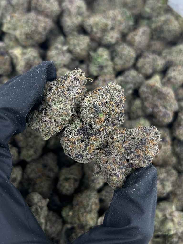 JELLY PAPAYA by Jeeter 🥭🧃