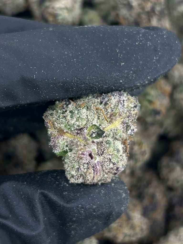 JELLY PAPAYA by Jeeter 🥭🧃 - Image 2