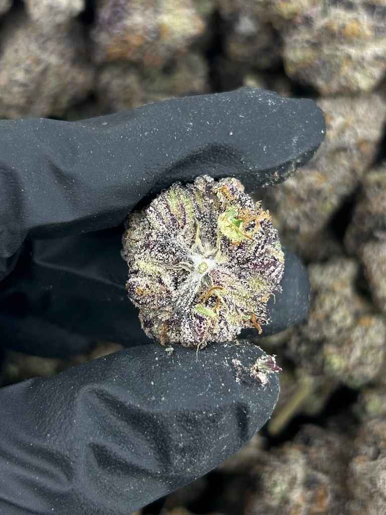 EUPHORIA by Sluggers π€―π - Image 2