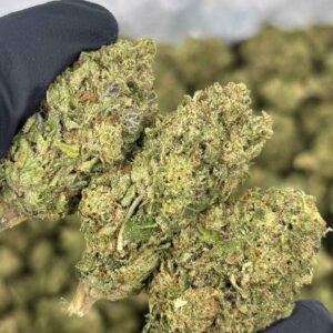 APPLE MINTZ 🍎🍏