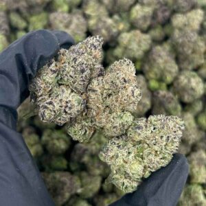 BLACK CHERRY DULCE 🖤🍒