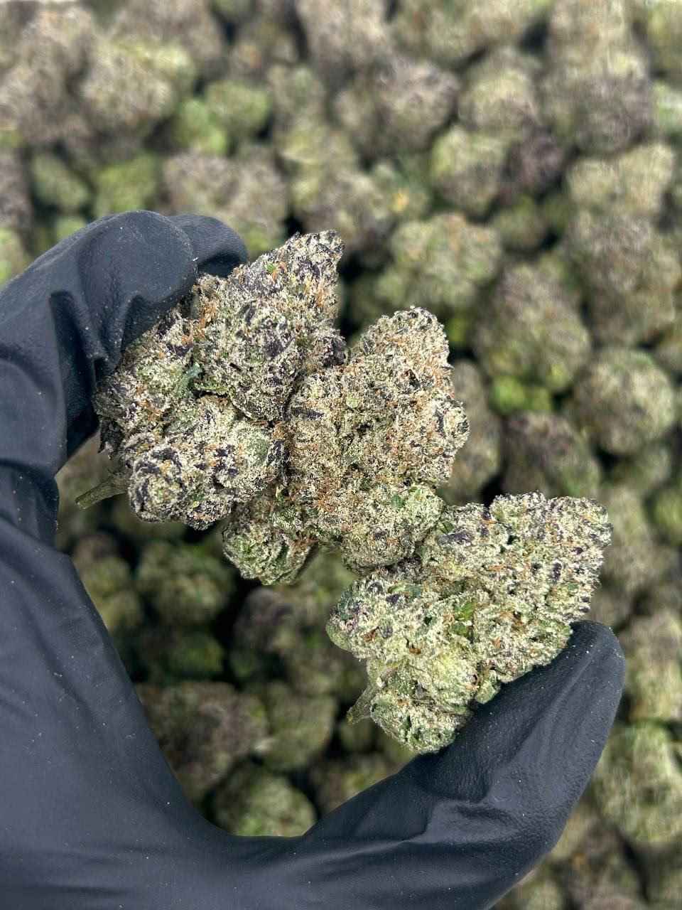 BLACK CHERRY DULCE 🖤🍒