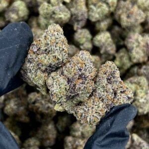 CHERRY BURST 🍒💥