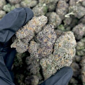 BLUE DIESEL 💙⛽️