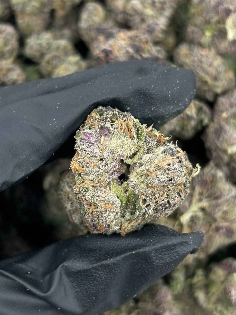 CHERRY ZELATO 🍒🍧 - Image 2