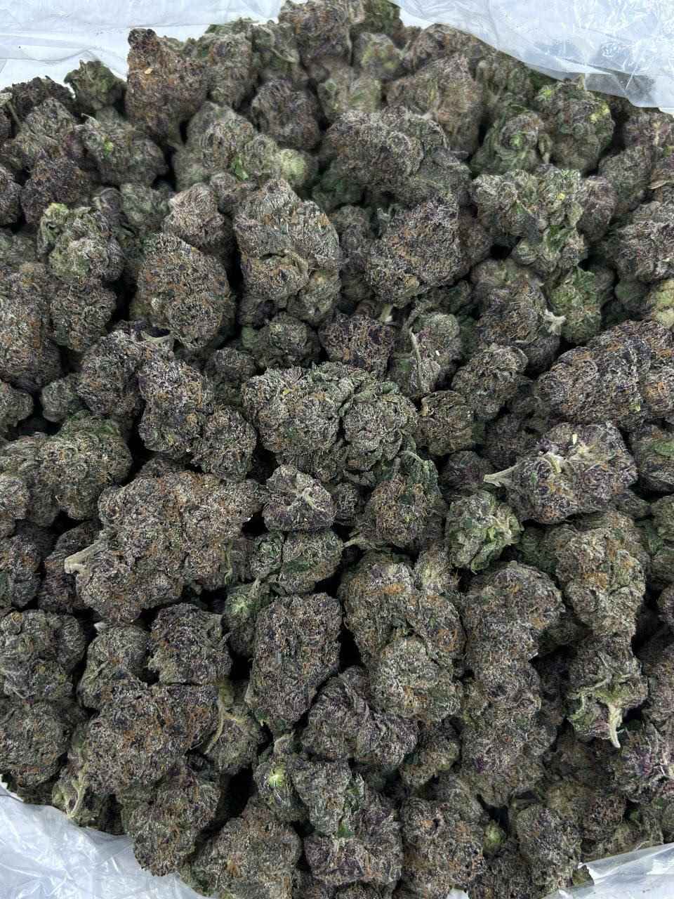 CHERRY ZELATO 🍒🍧 - Image 3