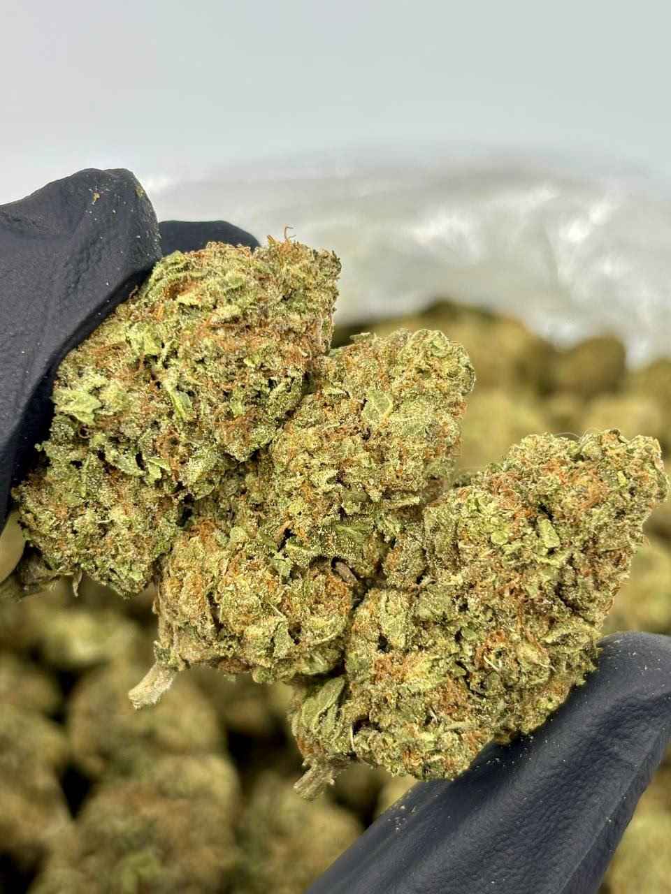 PEACH MINTZ 🍑🔥