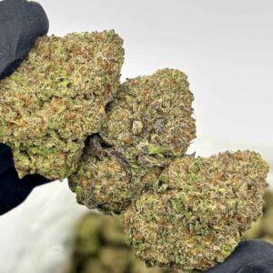 BLUEBERRY MUFFIN 🫐🧁