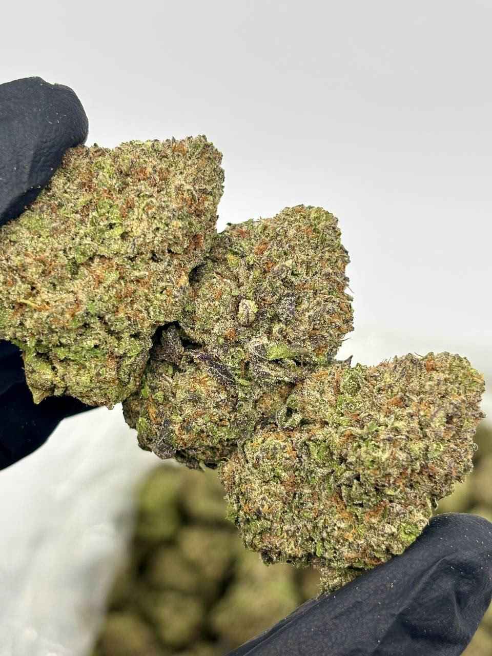 BLUEBERRY MUFFIN 🫐🧁