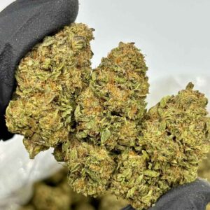 ELECTRIC RAINBOW ⚡️🌈