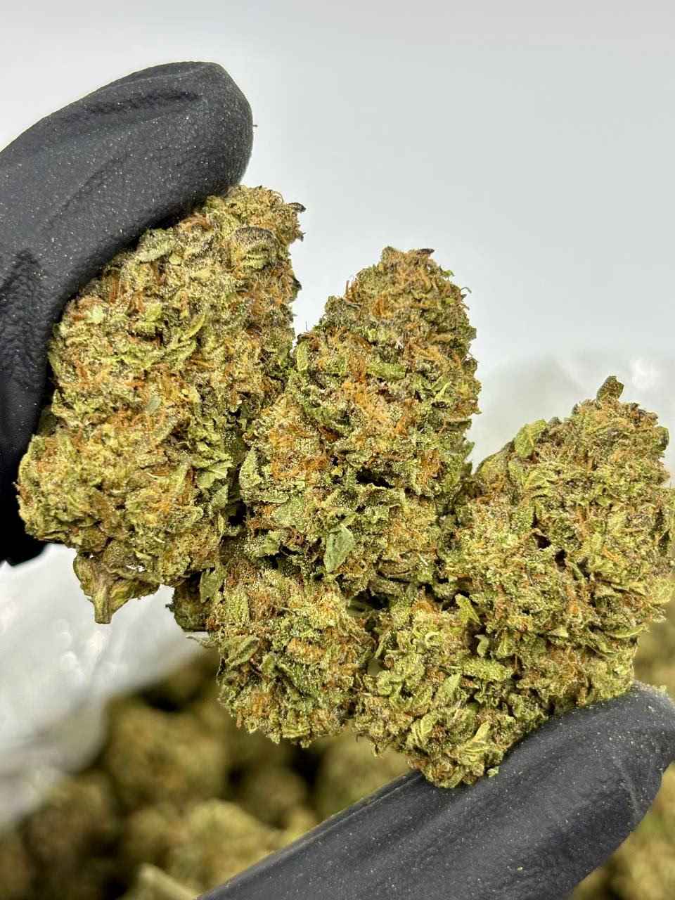 ELECTRIC RAINBOW ⚡️🌈