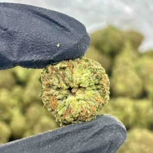 PURPLE MONSTER 🍇👻