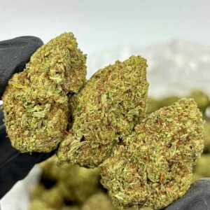 PINEAPPLE SORBET 🍍🍧