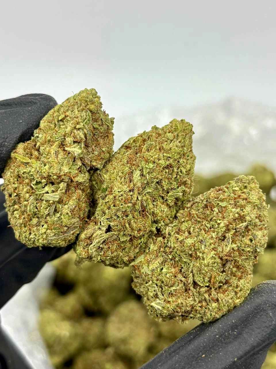 PINEAPPLE SORBET 🍍🍧