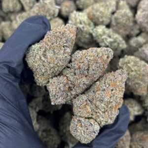 FROSTED FAYGO 🥶🥤