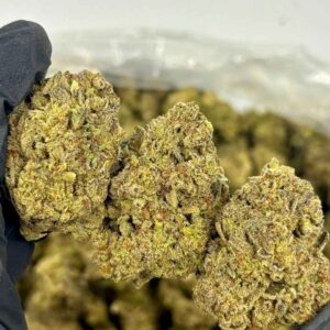 VANILLA MILKSHAKE 🍦🥤