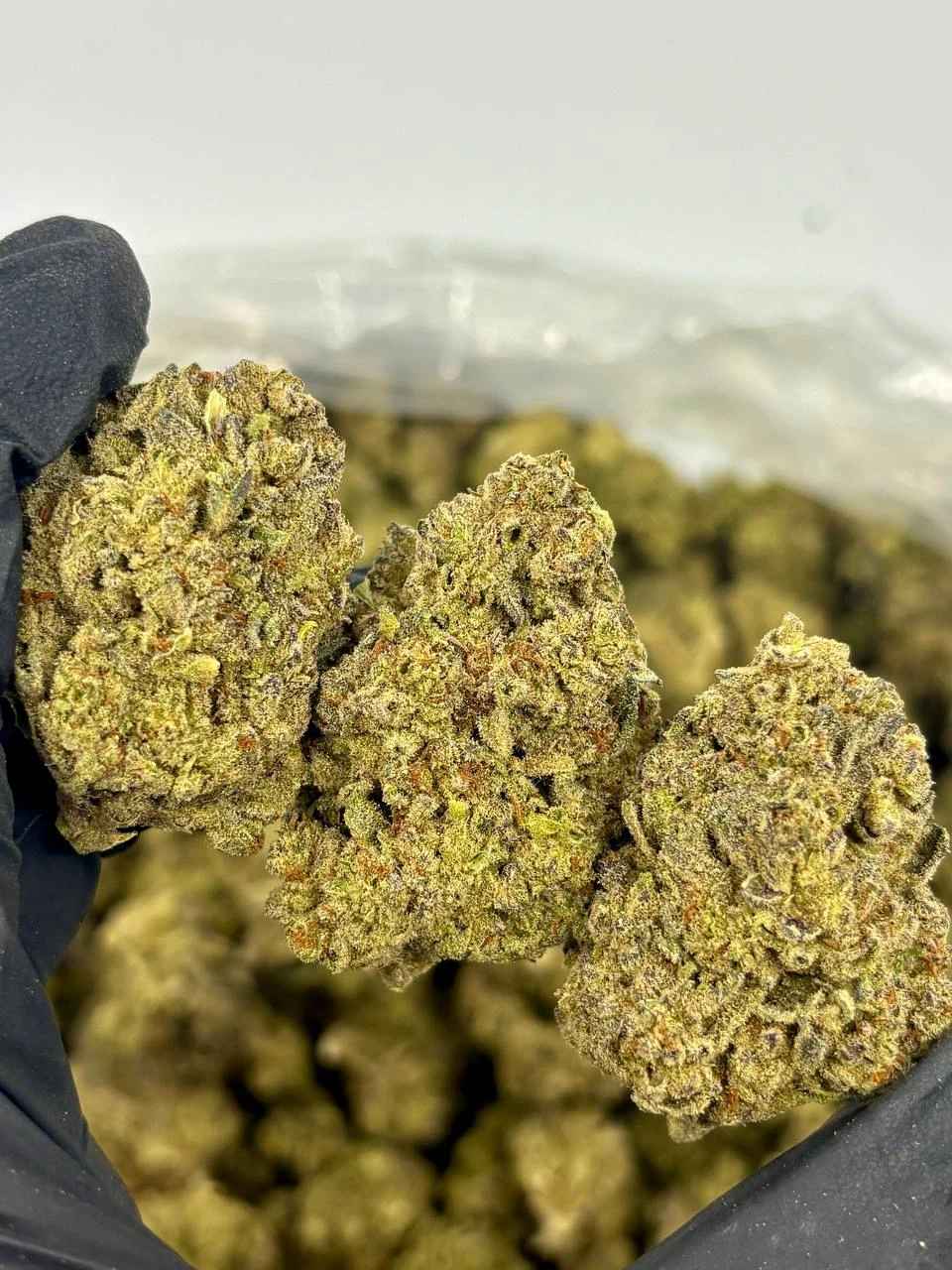 VANILLA MILKSHAKE 🍦🥤