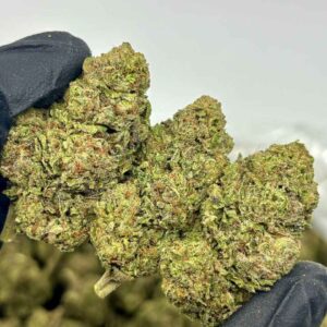 RAINBOW TRUFFLE 🏳️‍🌈🍄