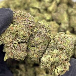 UNICORN MILK 🍼🦄