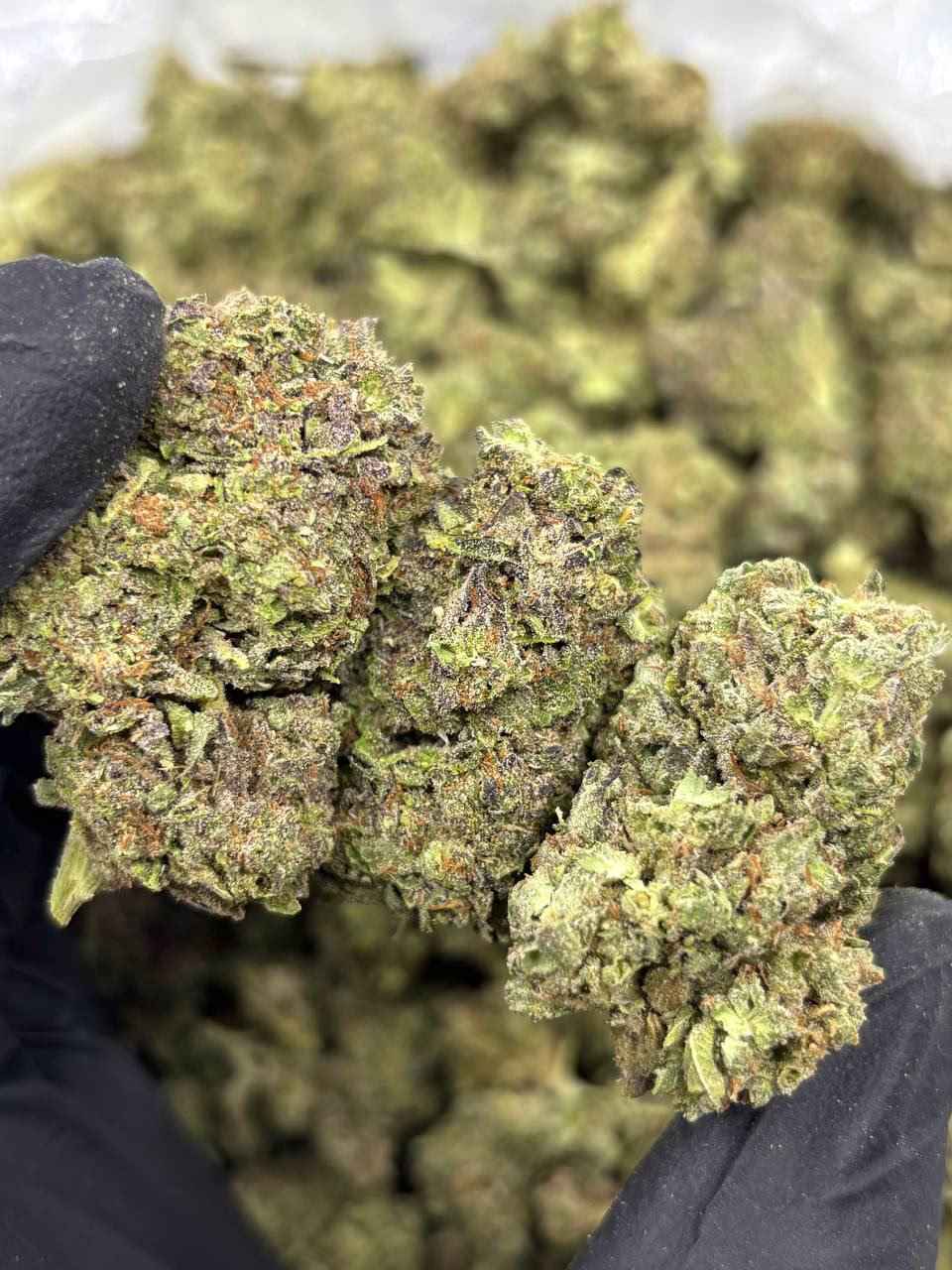 UNICORN MILK 🍼🦄