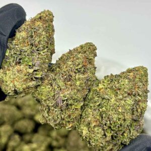 BERRY SKUNK 🫐🦨