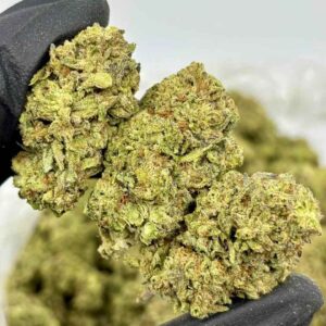 OREO BLIZZARD 🍪❄️