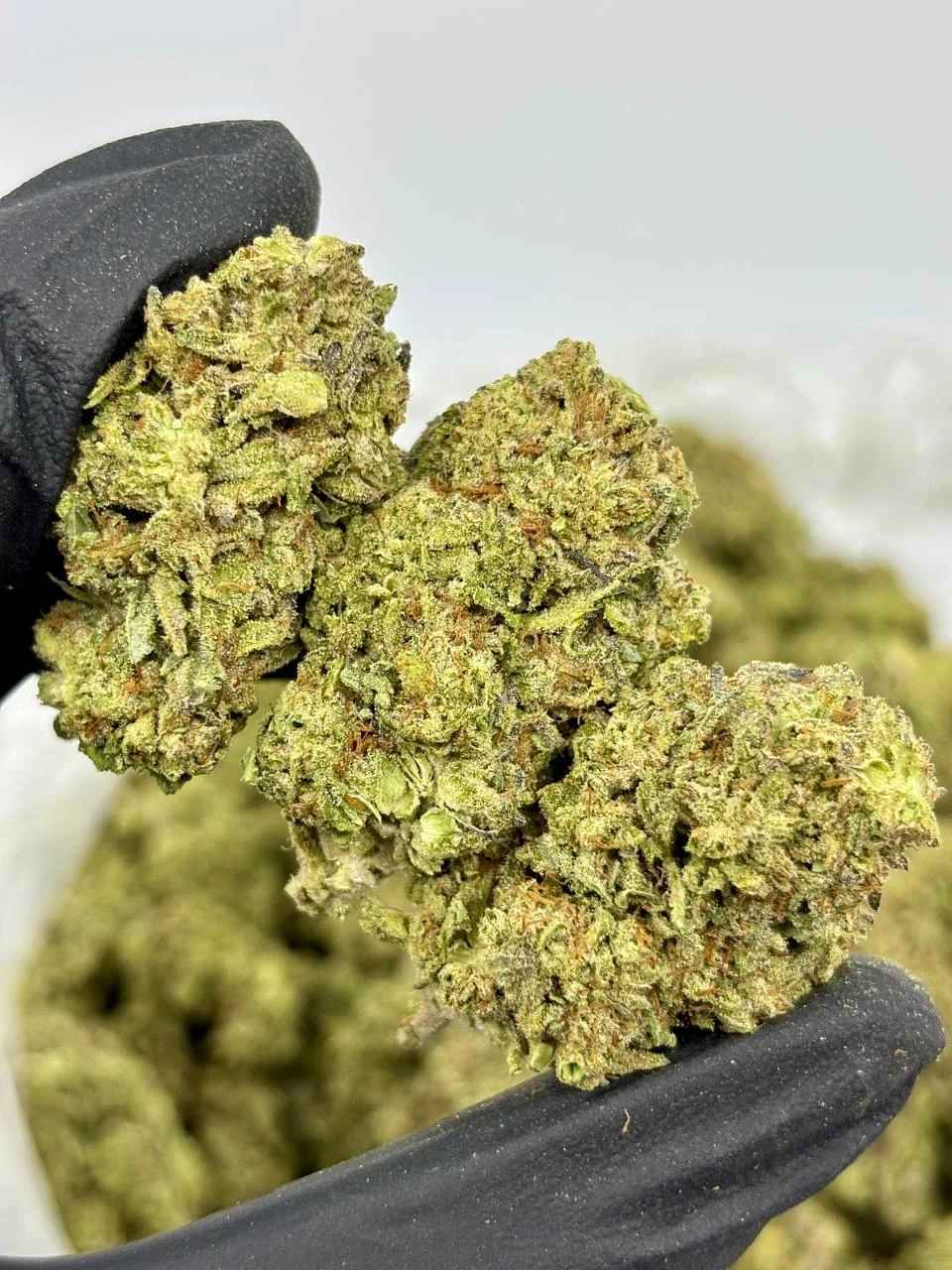 OREO BLIZZARD 🍪❄️