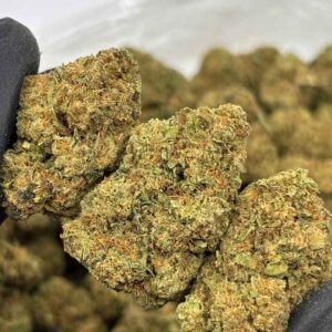 ORANGE PUSH POP 🍊🎉