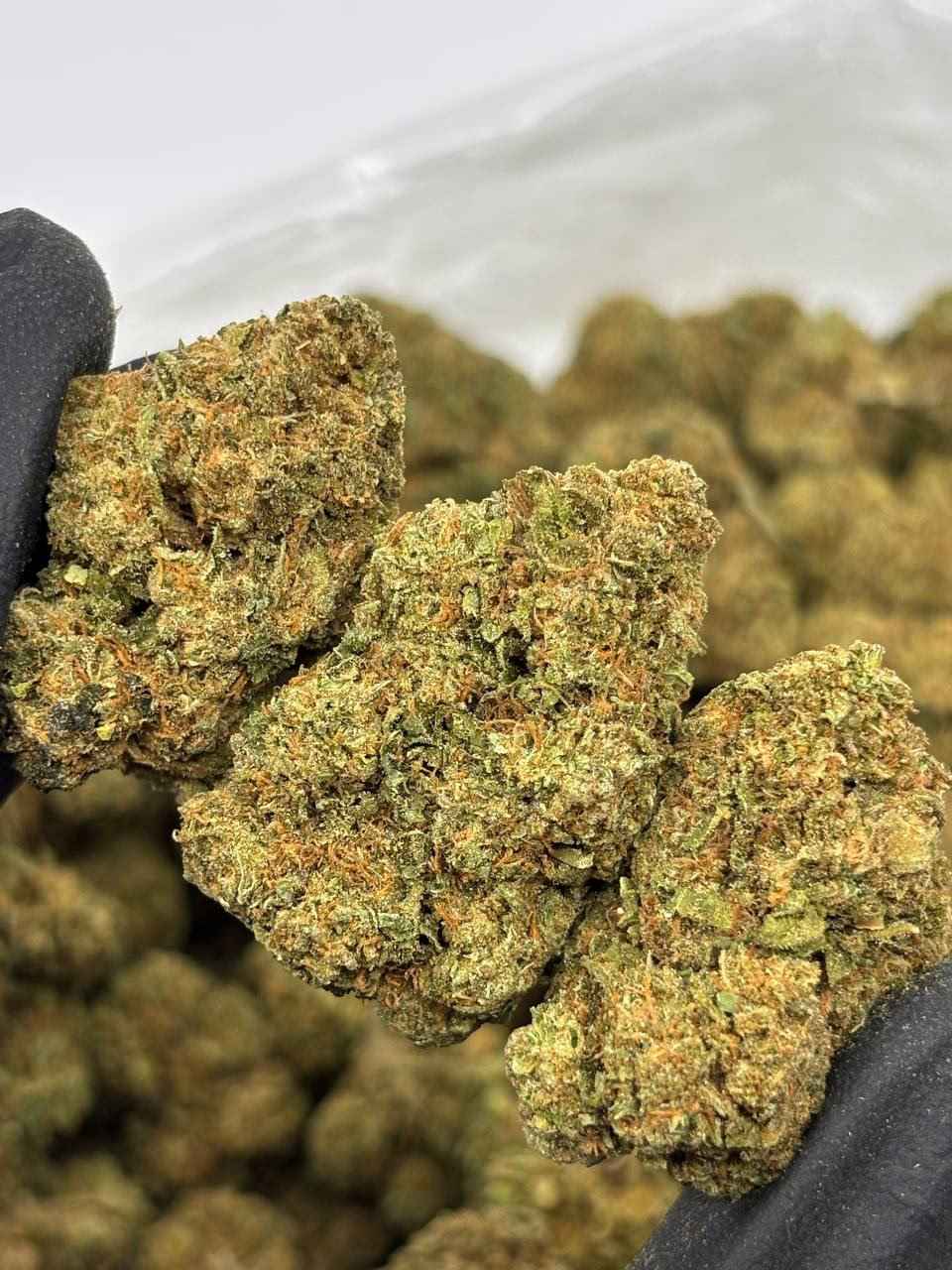 ORANGE PUSH POP 🍊🎉