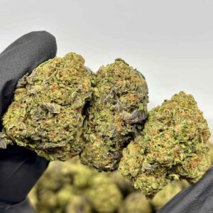 ICE CREAM BANGER 🍨💥