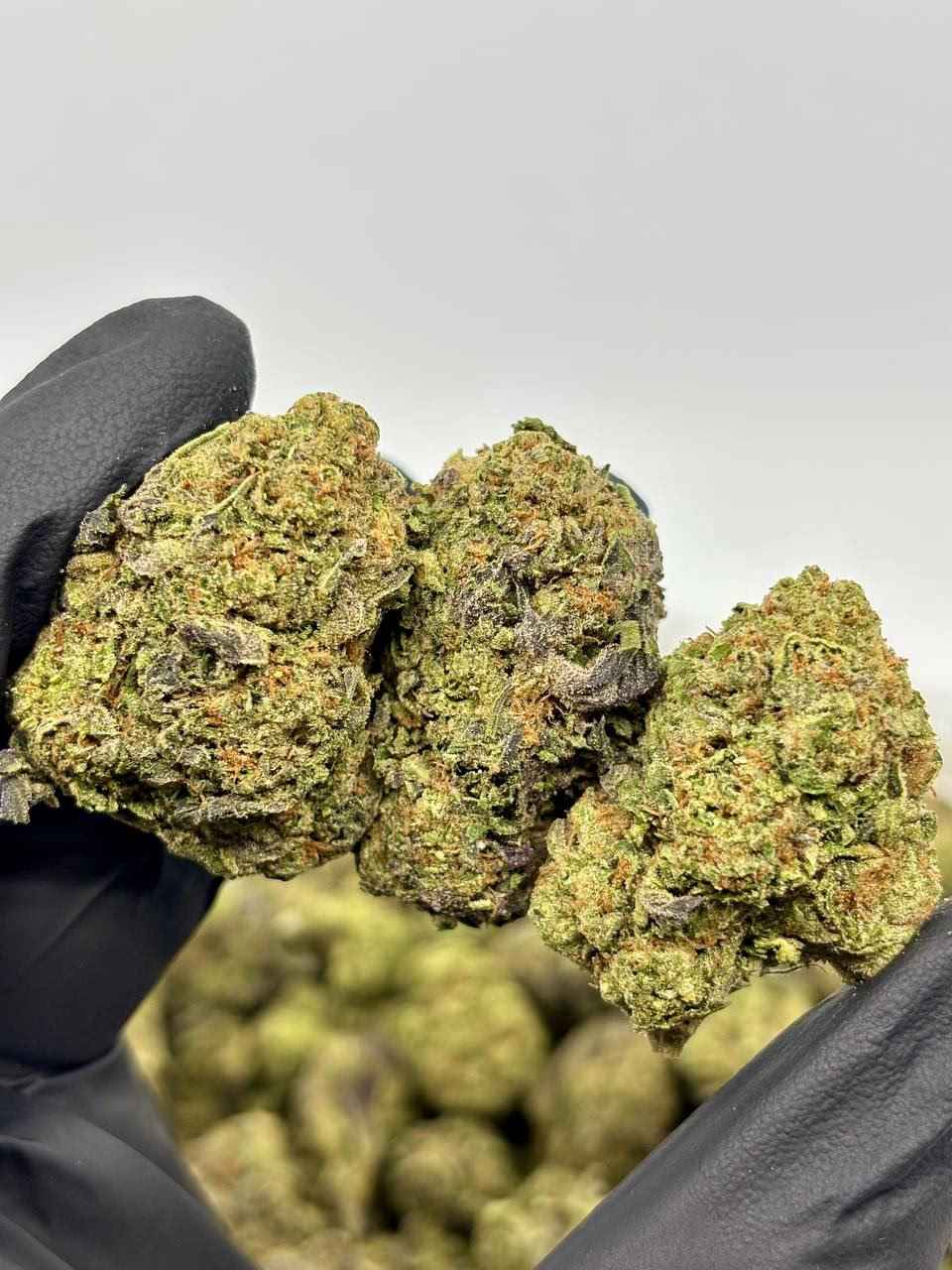 ICE CREAM BANGER 🍨💥