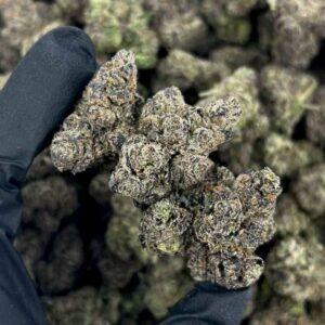 POTENT GAS 😷⛽️