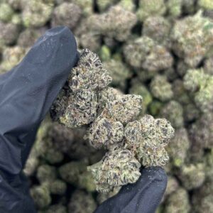 STICKY PAPAYA 🕸🥭