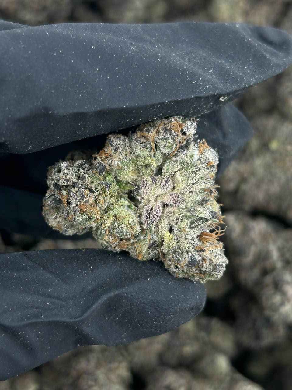 MOCHI CANDY 🍡🍭 - Image 2