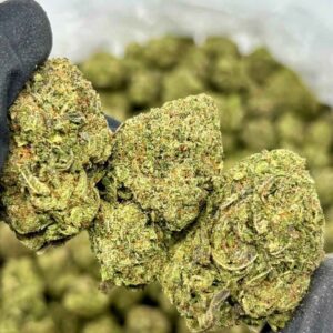 PINEAPPLE RUNTZ 🍍🔥