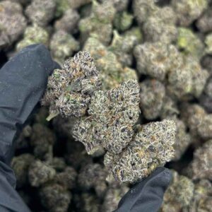 ALIEN ROCK CANDY 👽🍭