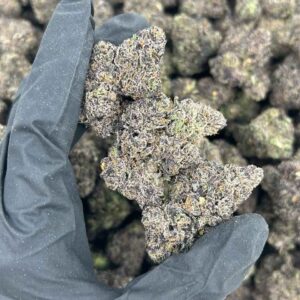 GALAXY GUMBO 🌌☄️