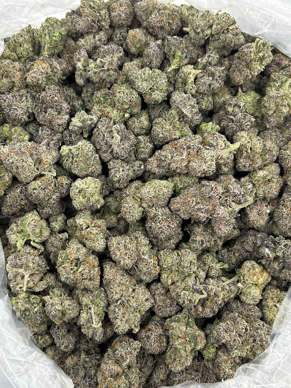 ALIEN ROCK CANDY 👽🍭 - Image 2