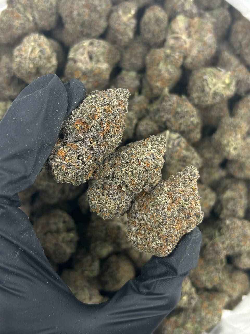 WHITE COCONUT PIE 🥥🍰