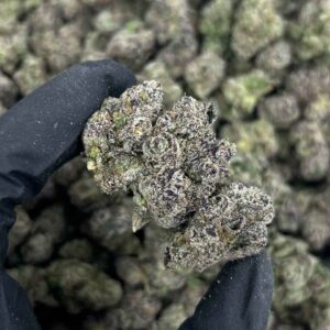 CANDY GRENADE MEDIUMS 🍬💣