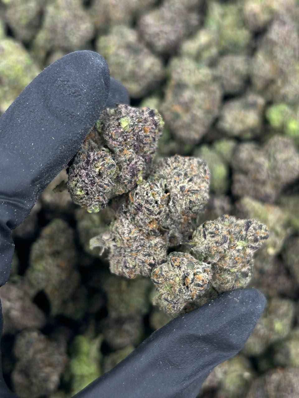 CANDY MINTZ 🍬🧊