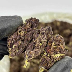 TROPICANA CHERRIES 🍹🍒