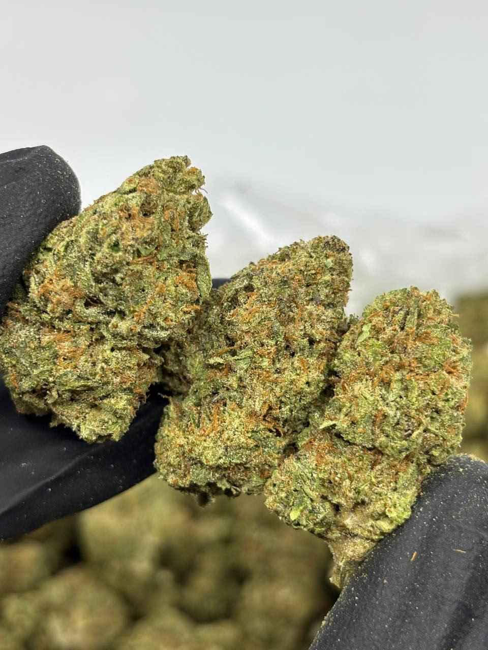 ICE CREAM PIE 🍨🥧