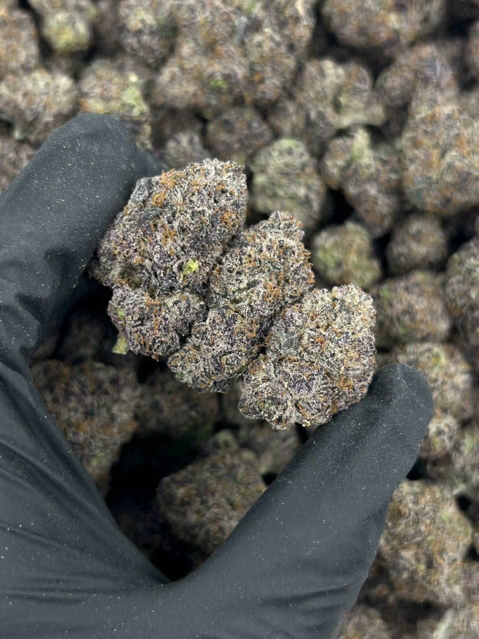 DIRTY FANTA ππ₯€