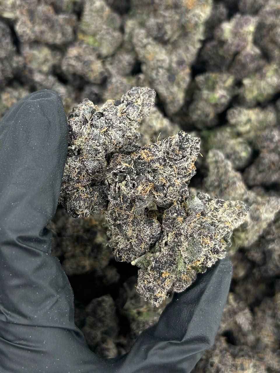 GRAPE LEMONHEADZ 🍇🤯