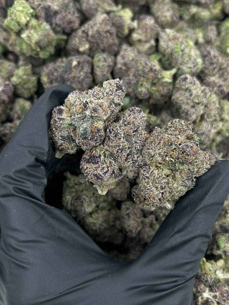 ACAI GRAPES 🍇🍧