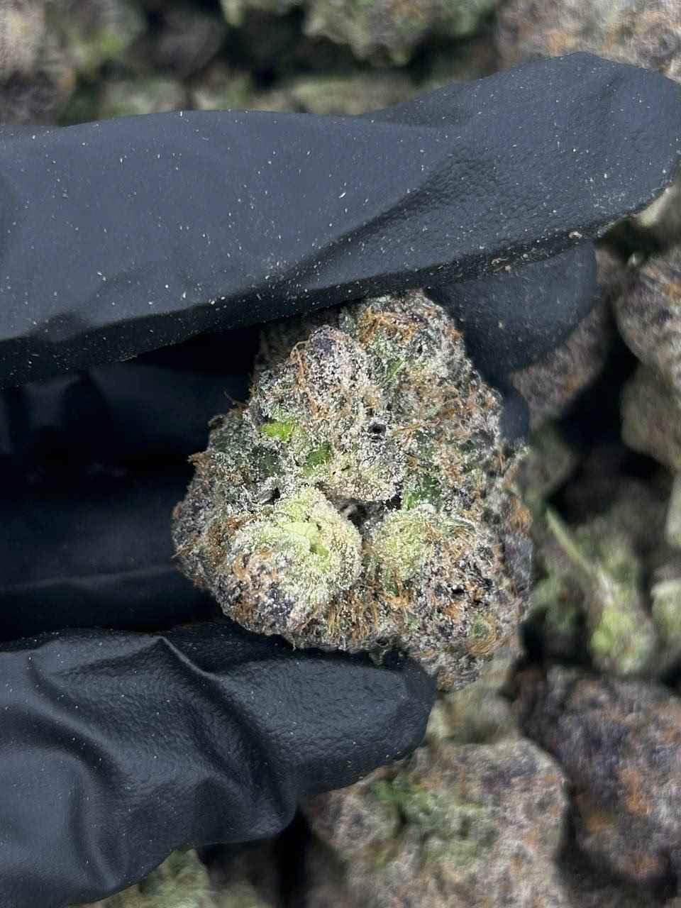 ACAI GRAPES ππ§ - Image 3